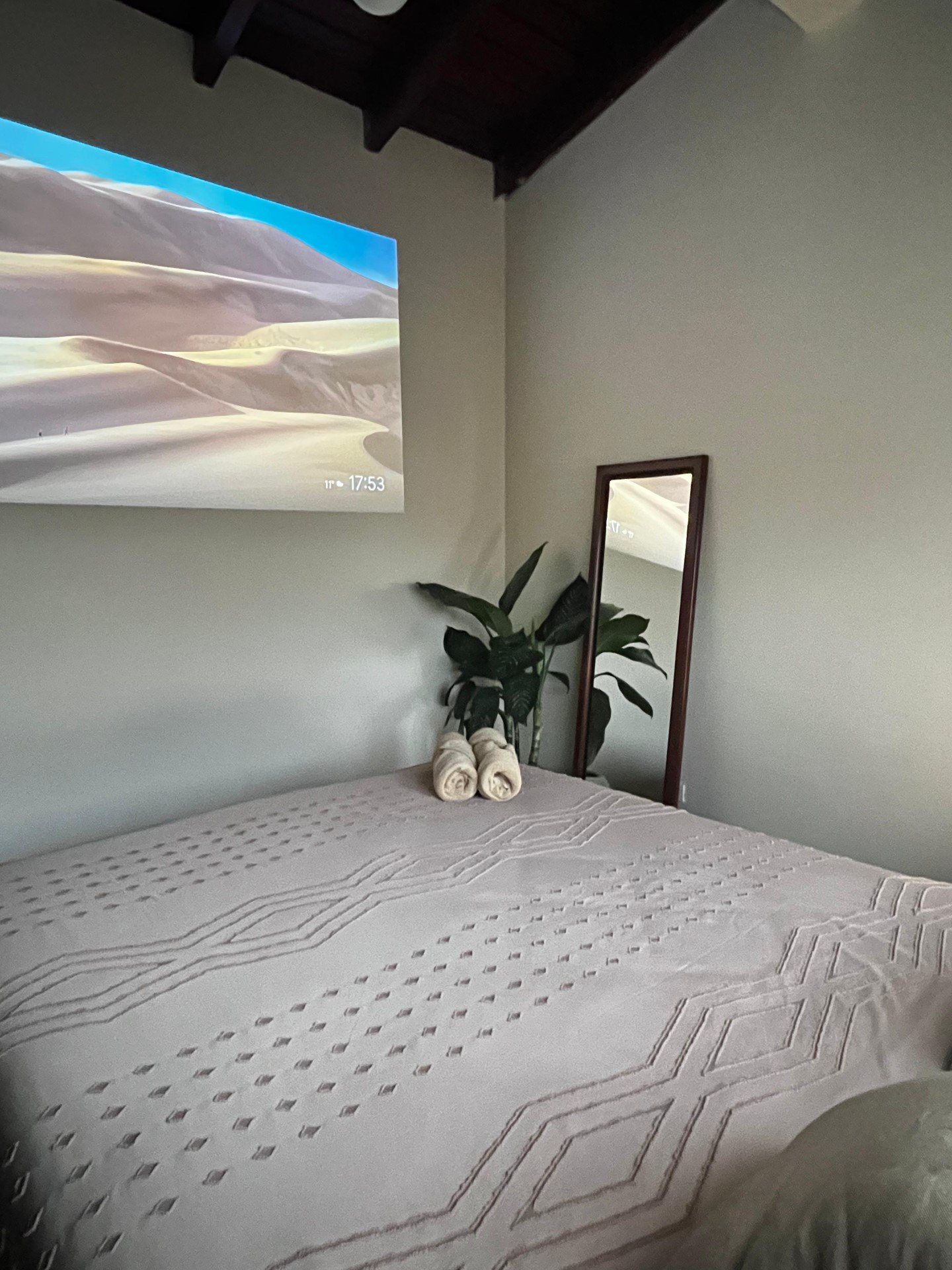 Habitación, detalle con espejo y planta